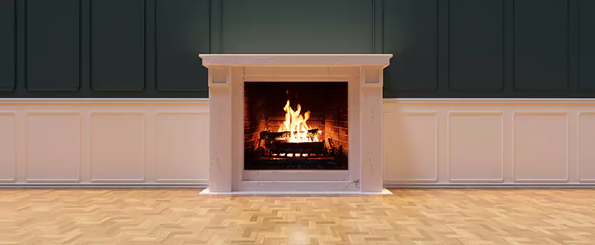 Napoleon Electric Fireplaces Inspection Service in Niles, Illinois