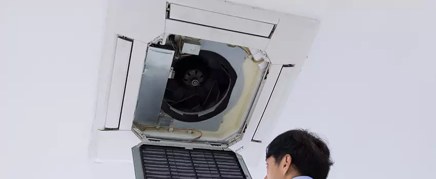Benefits of Professional Air Duct Cleaning in Niles, Illinois