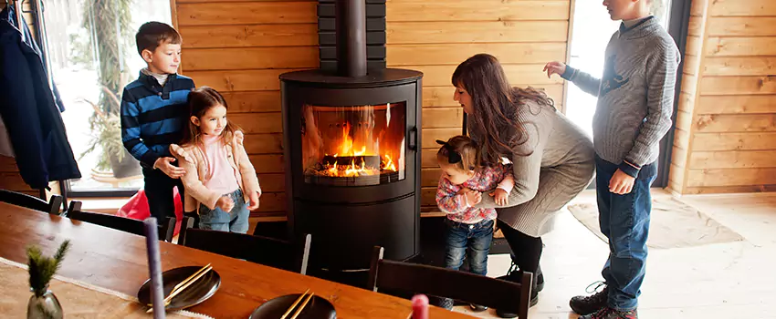 Jøtul Gas Fireplace Inspection Service in Niles, Illinois