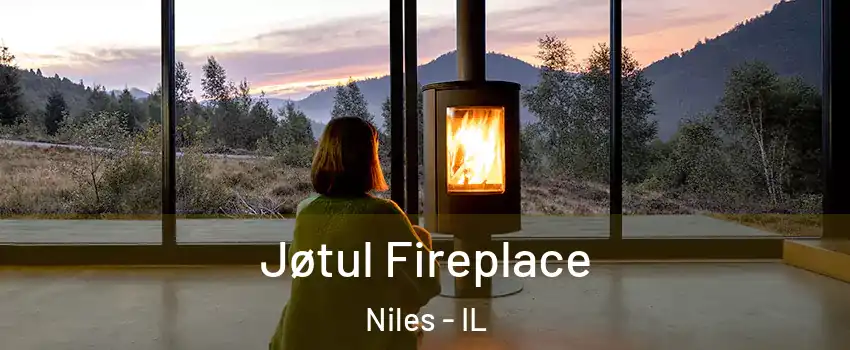  Jøtul Fireplace Niles - IL