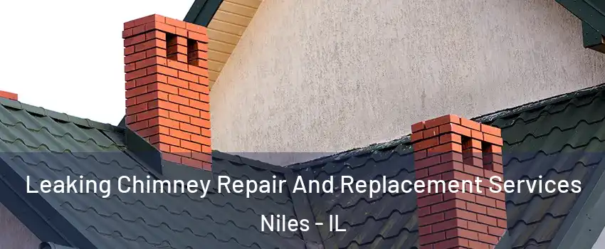 Leaking Chimney Repair And Replacement Services Niles - IL