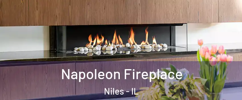  Napoleon Fireplace Niles - IL