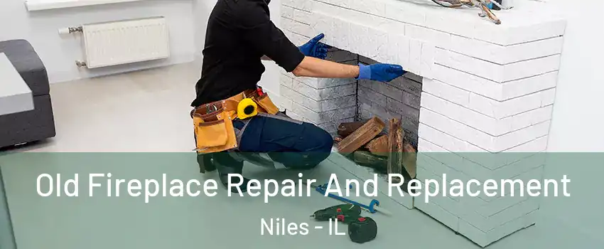  Old Fireplace Repair And Replacement Niles - IL