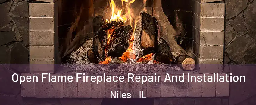  Open Flame Fireplace Repair And Installation Niles - IL