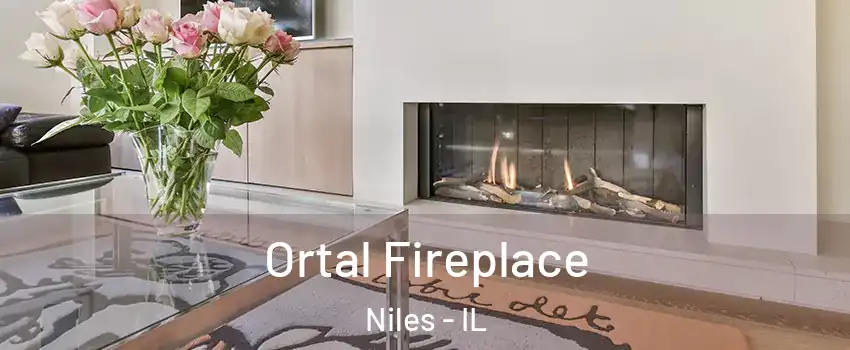 Ortal Fireplace Niles - IL