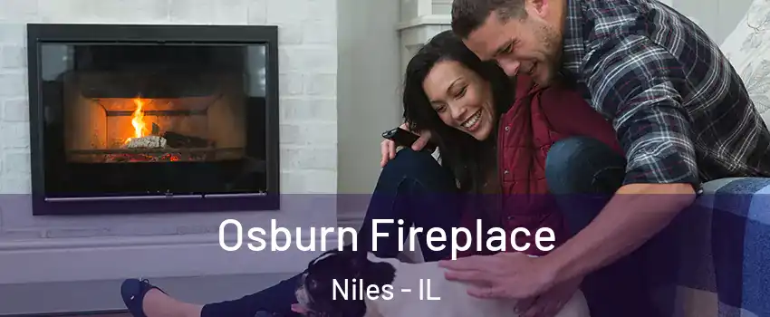  Osburn Fireplace Niles - IL