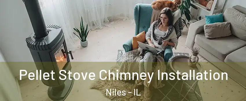  Pellet Stove Chimney Installation Niles - IL