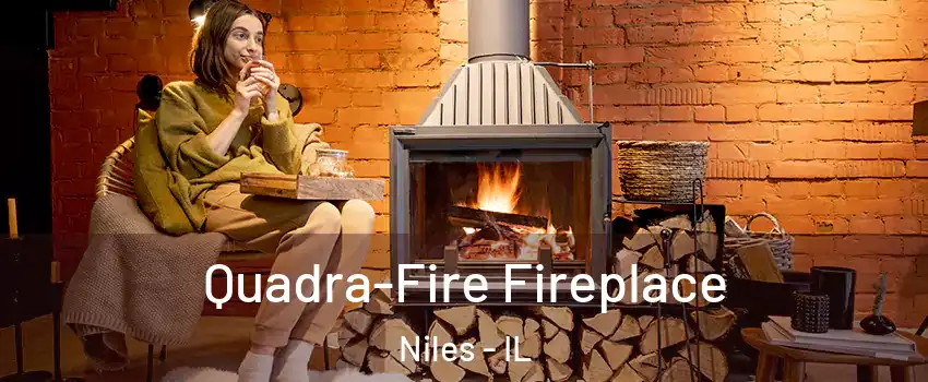  Quadra-Fire Fireplace Niles - IL