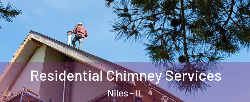  Residential Chimney Services Niles - IL