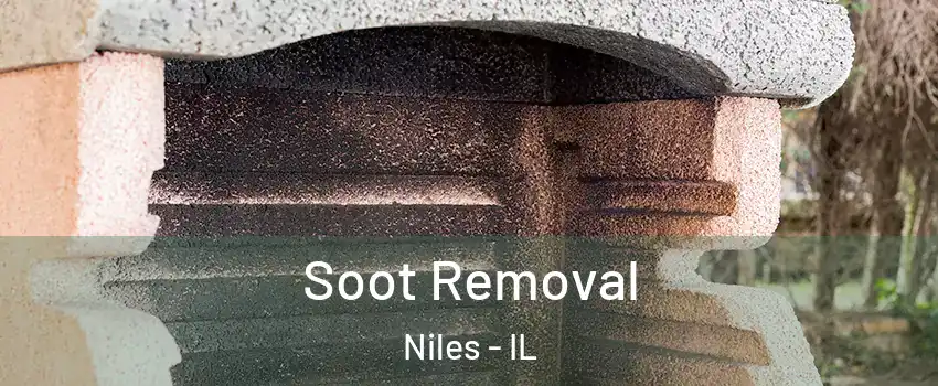  Soot Removal Niles - IL