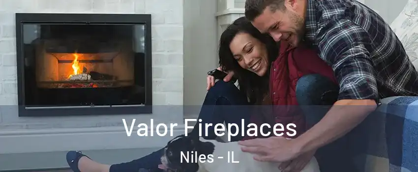  Valor Fireplaces Niles - IL