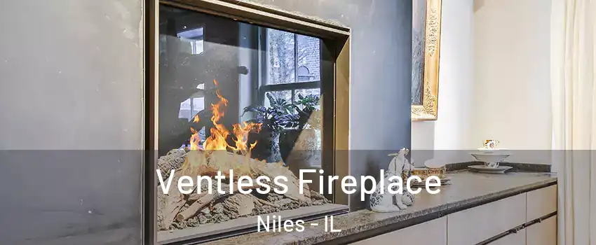  Ventless Fireplace Niles - IL